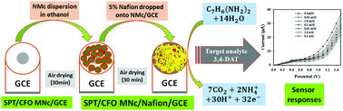 Graphical abstract: Detection of 3,4-diaminotoluene based on Sr0.3Pb0.7TiO3/CoFe2O4 core/shell nanocomposite via an electrochemical approach