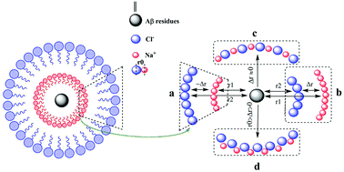 Graphical abstract: Folding dynamics of Aβ42 monomer at pH 4.0–7.5 with and without physiological salt conditions – does the β1 or β2 region fold first?