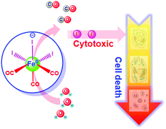 Graphical abstract: The monoiron anion fac-[Fe(CO)3I3]− and its organic aminium salts: their preparation, CO-release, and cytotoxicity