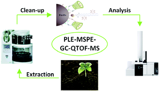 Graphical abstract: Magnetic solid phase extraction using Fe3O4@β-cyclodextrin–lipid bilayers as adsorbents followed by GC-QTOF-MS for the analysis of nine pesticides