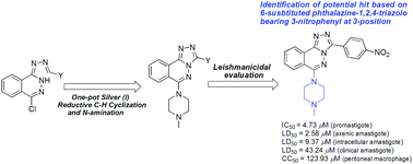 Graphical abstract: Optimization of phthalazin-based aryl/heteroarylhydrazones to design new promising antileishmanicidal agents: synthesis and biological evaluation of 3-aryl-6-piperazin-1,2,4-triazolo[3,4-a]phthalazines
