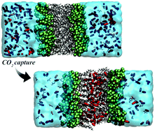 Graphical abstract: High-performance carbon dioxide capture and storage by multi-functional sphingosine kinase inhibitors through a CO2-philic membrane