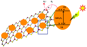 Graphical abstract: Photocatalytic performance of visible active boron nitride supported ZnFe2O4 (ZnFe2O4/BN) nanocomposites for the removal of aqueous organic pollutants