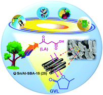 Graphical abstract: Catalytic transfer hydrogenation of biomass-derived levulinic acid to γ-valerolactone over Sn/Al-SBA-15 catalysts