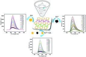 Graphical abstract: A turn-on luminescent probe for Fe3+ and ascorbic acid with logic gate operation based on a zinc(ii)-based metal–organic framework