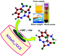 Graphical abstract: Facile synthesis of ultrathin NiSnO3 nanoparticles for enhanced electrochemical detection of an antibiotic drug in water bodies and biological samples