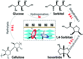 Graphical abstract: Direct conversion of cellulose into isosorbide over Ni doped NbOPO4 catalysts in water