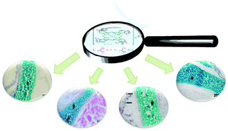 Graphical abstract: Synthesis, characterization and staining performance of peripherally and non-peripherally substituted metallo-phthalocyanines bearing 1,3-bis-(trimethylamino)-2-propoxy groups