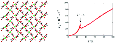 Graphical abstract: Magnetic and thermal studies of a coordination polymer: bis(glycolato)nickel(ii)