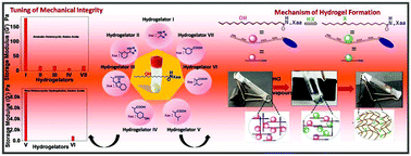 Graphical abstract: Can non-heterocyclic hydrophobic amino acids when tethered at the C-terminus of 12-hydroxy stearic acid-based amphiphilic derivatives drive hydrogelation propensity effectively?