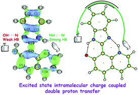 Graphical abstract: Deciphering the excited state intramolecular charge-coupled double proton transfer in an asymmetric quinoline–benzimidazole system