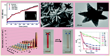 Graphical abstract: Morphology engineering of ZnO nanorod arrays to hierarchical nanoflowers for enhanced photocatalytic activity and antibacterial action against Escherichia coli