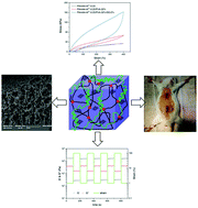 Graphical abstract: Biocompatible double network poly(acrylamide-co-acrylic acid)–Al3+/poly(vinyl alcohol)/graphene oxide nanocomposite hydrogels with excellent mechanical properties, self-recovery and self-healing ability