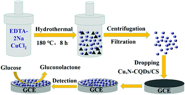 Graphical abstract: A simple, cost-effective and selective analysis of glucose via electrochemical impedance sensing based on copper and nitrogen co-doped carbon quantum dots