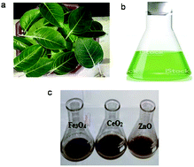 Graphical abstract: Microwave-assisted green synthesis, characterization and adsorption studies on metal oxide nanoparticles synthesized using Ficus Benghalensis plant leaf extracts