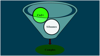 Graphical abstract: Synthesis of organosilocane allied N-heteroaryl Schiff base chemosensor for the detection of Cu2+ metal ions and their biological applications