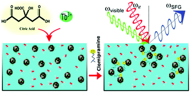 Graphical abstract: Terbium(iii)-coated carbon quantum dots for the detection of clomipramine through aggregation-induced emission from the analyte