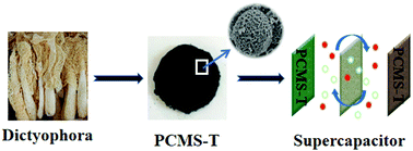 Graphical abstract: Dictyophora-derived N-doped porous carbon microspheres for high-performance supercapacitors