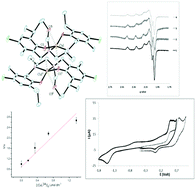 Graphical abstract: Unusual chemistry of Cu(ii) salan complexes: synthesis, characterization and superoxide dismutase activity