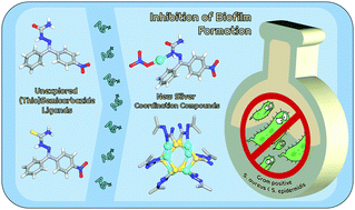 Graphical abstract: New silver (thio)semicarbazide derivatives: synthesis, structural features, and antimicrobial activity