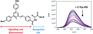 Graphical abstract: Synthesis of new fluorescent pyrylium dyes and study of their interaction with N-protected amino acids