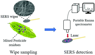 Graphical abstract: Fabrication of sensitive silver-decorated cotton swabs for SERS quantitative detection of mixed pesticide residues in bitter gourds