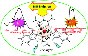 Graphical abstract: Structures and pure near-infrared photophysics of erbium and ytterbium(iii) complexes incorporating fluorinated β-diketone and neutral unidentate ligands