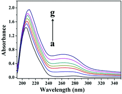 Graphical abstract: Investigating the interaction between DNA-templated gold nanoclusters and HSA via spectroscopy