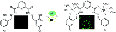 Graphical abstract: Chromogenic and fluorogenic “off–on–off” chemosensor for selective and sensitive detection of aluminum (Al3+) and bifluoride (HF2−) ions in solution and in living Hep G2 cells: synthesis, experimental and theoretical studies