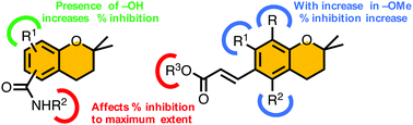 Graphical abstract: Synthesis and anti-inflammatory activity evaluation of novel chroman derivatives