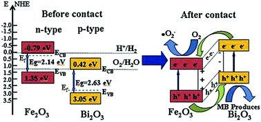 Graphical abstract: Construction of an α-Fe2O3/Bi2O3 p–n heterojunction with exceptional visible-light photocatalytic performance for dye removal