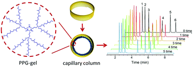 Graphical abstract: A novel column fabrication approach for capillary gas chromatography via a cross-linked organogel network with high stability and inertness