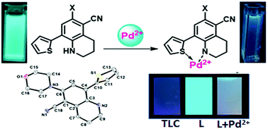 Graphical abstract: Design and synthesis of new functionalized 8-(thiophen-2-yl)-1,2,3,4-tetrahydroquinolines as turn-off chemosensors for selective recognition of Pd2+ ions