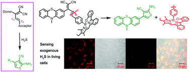 Graphical abstract: Structure–reactivity relationship of probes based on the H2S-mediated reductive cleavage of the C [[double bond, length as m-dash]] C bond