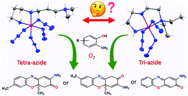 Graphical abstract: The first report of a tetra-azide bound mononuclear cobalt(iii) complex and its comparative biomimetic catalytic activity with tri-azide bound cobalt(iii) compounds