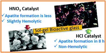 Graphical abstract: Bioactivity and hemocompatibility of sol–gel bioactive glass synthesized under different catalytic conditions