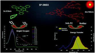 Graphical abstract: Novel BODIPY-subphthalocyanine dyads with reasonable photodynamic therapy behaviours