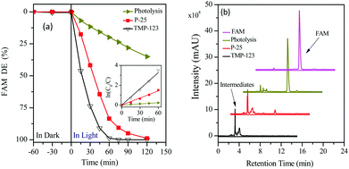 Graphical abstract: Periodic mesoporous titania with anatase and bronze phases – the new generation photocatalyst: synthesis, characterisation, and application in environmental remediation