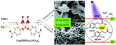 Graphical abstract: Photocatalytic activity of new nanostructures of an Ag(i) metal–organic framework (Ag-MOF) for the efficient degradation of MCPA and 2,4-D herbicides under sunlight irradiation