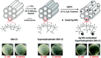 Graphical abstract: On-site formation of small Ag nanoparticles on superhydrophobic mesoporous silica for antibacterial application