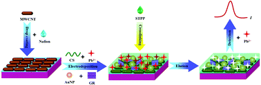 Graphical abstract: Synthesis of imprinted chitosan/AuNPs/graphene-coated MWCNTs/Nafion film for detection of lead ions