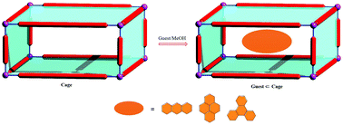 Graphical abstract: Hydrophobicity controls guest uptake in Rh8 metallacages