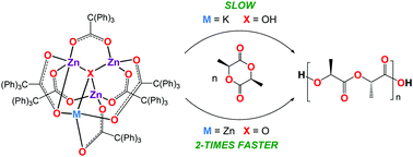 Graphical abstract: Structural analysis and catalytic activity of tetranuclear metal carboxylate clusters with a [KZn3(μ3-OH)(OOCCPh3)6] or [Zn4(μ4-O)(OOCCPh3)6] central motif