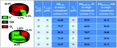 Graphical abstract: A comparative study in single- and binary-contaminant systems: the photodegradation of tetracycline and imidacloprid on flower-shaped Ag/AgBr/BiOBr under visible-light irradiation