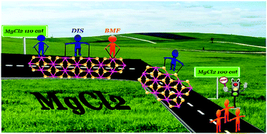 Graphical abstract: Towards the design of a mixture of diether and succinate as an internal donor in a MgCl2-supported Ziegler–Natta catalyst