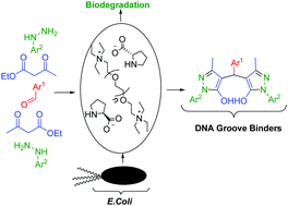 Graphical abstract: Polyethylene glycol-bonded triethylammonium l-prolinate: a new biodegradable amino-acid-based ionic liquid for the one-pot synthesis of bis(pyrazolyl)methanes as DNA binding agents