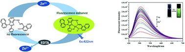 Graphical abstract: A selective purine-based fluorescent chemosensor for the “naked-eye” detection of zinc ions (Zn2+): applications in live cell imaging and test strips