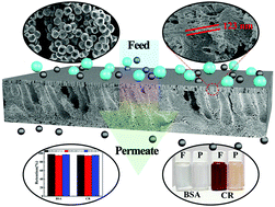 Graphical abstract: High rejection performance ultrafiltration membrane with ultrathin dense layer fabricated by the movement and dissolution of metal–organic frameworks