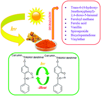 Graphical abstract: Modified PAMAM dendrimers as a matrix for the photostabilization of curcumin