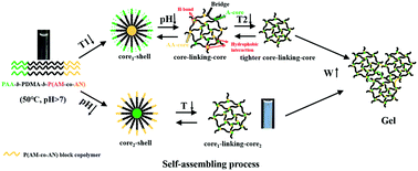 Graphical abstract: A pH and UCST thermo-responsive tri-block copolymer (PAA-b-PDMA-b-P(AM-co-AN)) with micellization and gelatinization in aqueous media for drug release